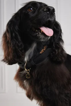 Holland Cooper Dog Collars><noscript><img width=