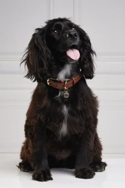 Holland Cooper Dog Collars>HC Classic Dog Collar