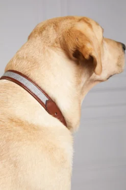 Holland Cooper Dog Collars><noscript><img width=
