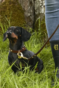 Holland Cooper Dog Leads>HC Slim Dog Lead