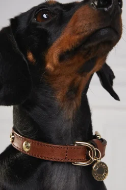 Holland Cooper Dog Collars><noscript><img width=