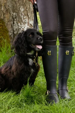 Holland Cooper Dog Collars>HC Studded Dog Collar
